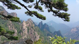 黄山奇峰与苍松美景