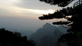 山间暮色中的苍松美景