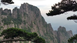 黄山奇峰与苍松景观