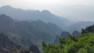 山峦叠翠间的绿意景致