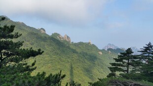 青山葱郁间的秀丽山景