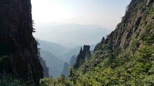 峻岭奇峰间的葱郁山林