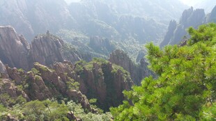 壮美山峦绿意浓