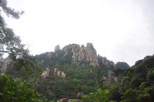 秀丽山峦 绿意盎然的景致