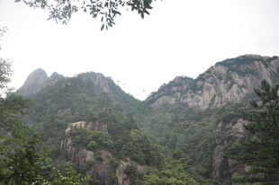 秀丽山峦 绿意盎然的景致