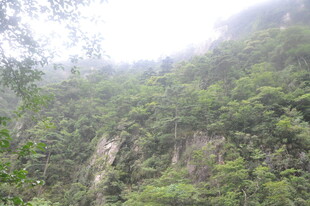 山林云雾缭绕的自然景致