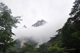 云雾缭绕中的秀丽山峰