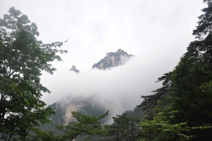 云雾缭绕的山间景致