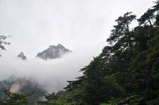 云雾缭绕的山林与山峰