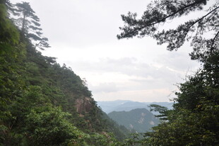 山间绿意盎然的秀丽景致