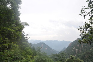 山间绿意盎然的秀丽景致