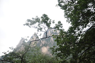 山林间的巍峨山峰