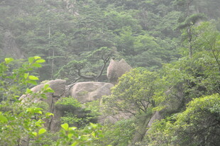 山林间的岩石景观