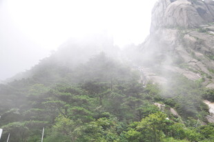 云雾缭绕的葱郁山峰