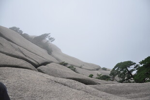 巍峨山石与绿树相映成趣
