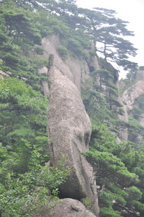 奇峰屹立于葱郁山林间