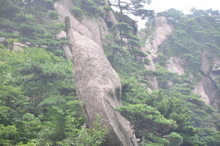峻峭山峰与葱郁植被