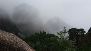 云雾缭绕的山间景致