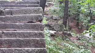 山林中的石阶步道