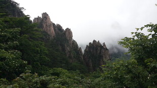 云雾缭绕的壮美山峦