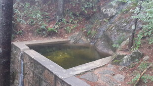 山林中的静谧方形水池