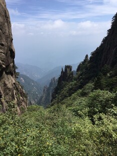 壮丽山景绿意盎然