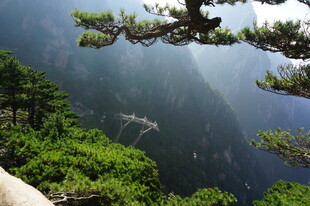 山间松景 云雾缭绕之美