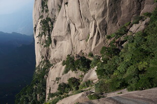 陡峭山壁上的绿植景观