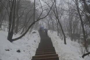 雪中山间步道 静谧之景