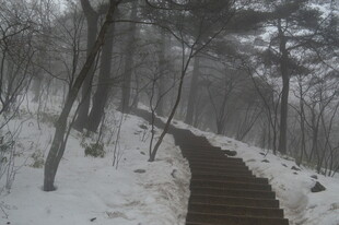 雪覆山林中的蜿蜒步道