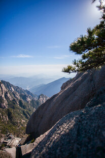 壮丽山景中的挺拔青松