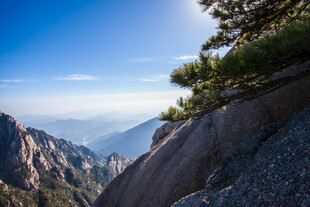 峻岭青松间的壮阔山景