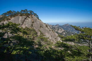 峻峭山峰与葱郁林木景观