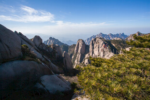黄山壮美山景与葱郁树木