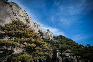 巍峨山峰与葱郁树木景观
