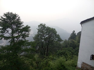 山间白屋旁的葱郁景致