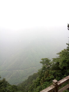 山间雾景 绿意盎然
