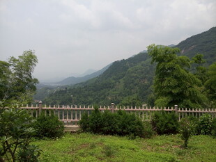 山间绿意 远处朦胧美景