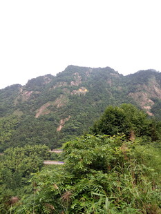 青山绿植环绕的秀丽山景