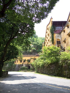 林荫下的古朴街道建筑