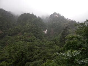 云雾缭绕的山林瀑布景观