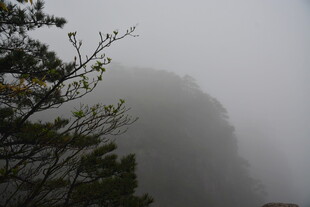 雾中朦胧山景