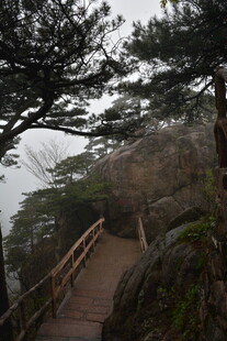 山间雾中蜿蜒木质登山道