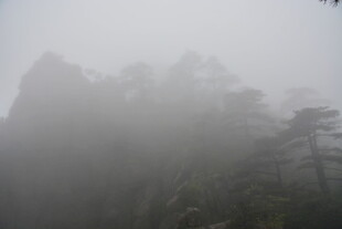 雾中朦胧山林景