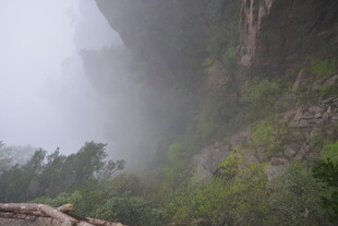 山间迷雾中的葱郁景致