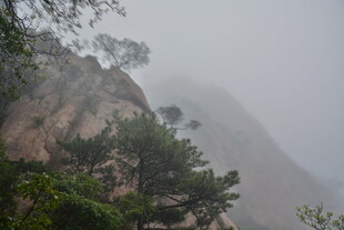 雾中峻岭 绿意点缀