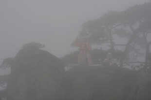 雾中朦胧的树木与建筑