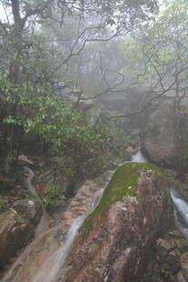 山间雾中溪流美景