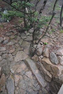 山间石径 自然野趣景致