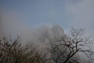 云雾缭绕中的山林景致